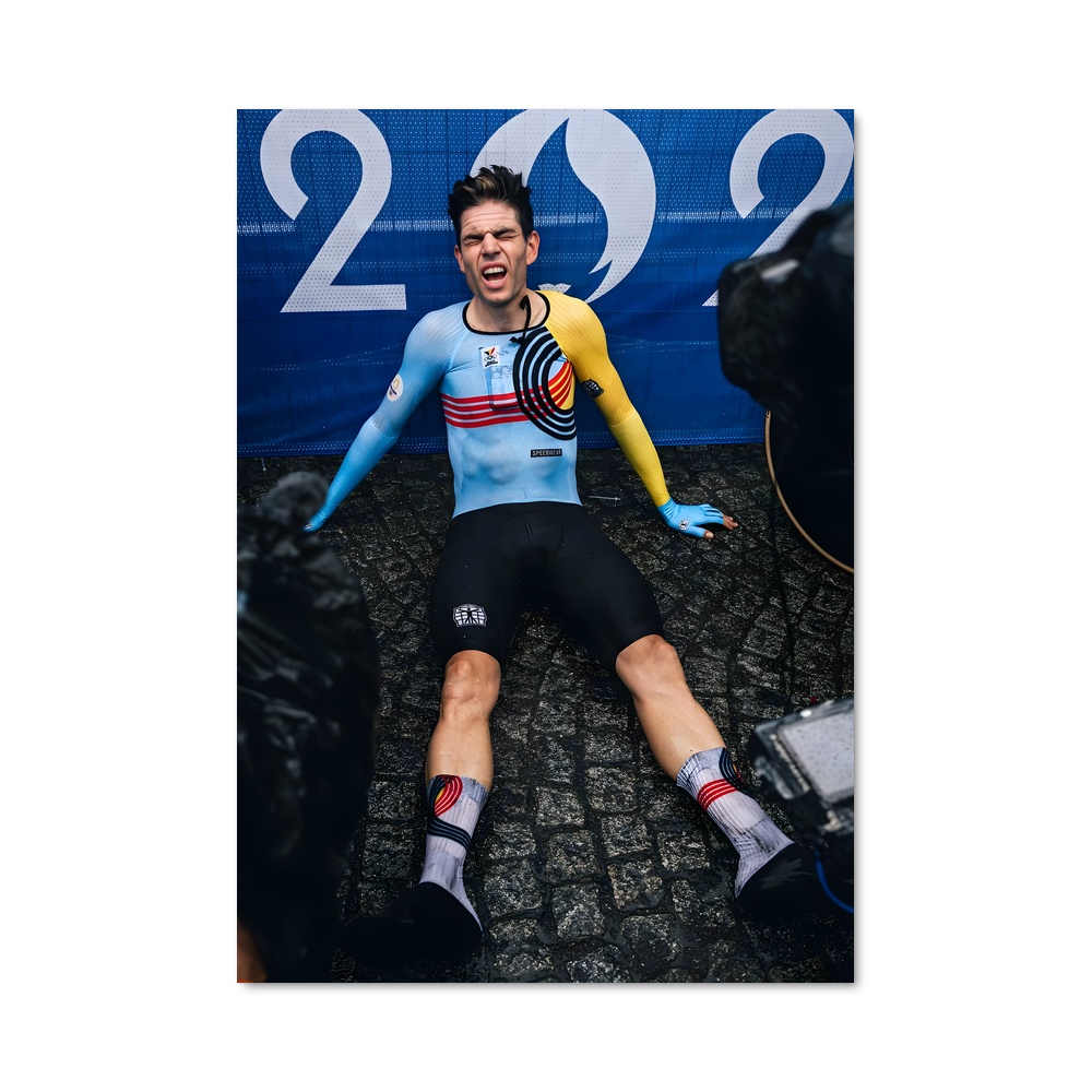 Poster Wout de van